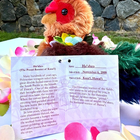 Adopt an Island Rooster - Ha'aheo - Picture 2 of 5